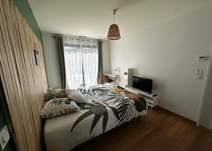 Modernes Avec Salle De Bain Privative Saint-Pierre-du-Mont (Landes)